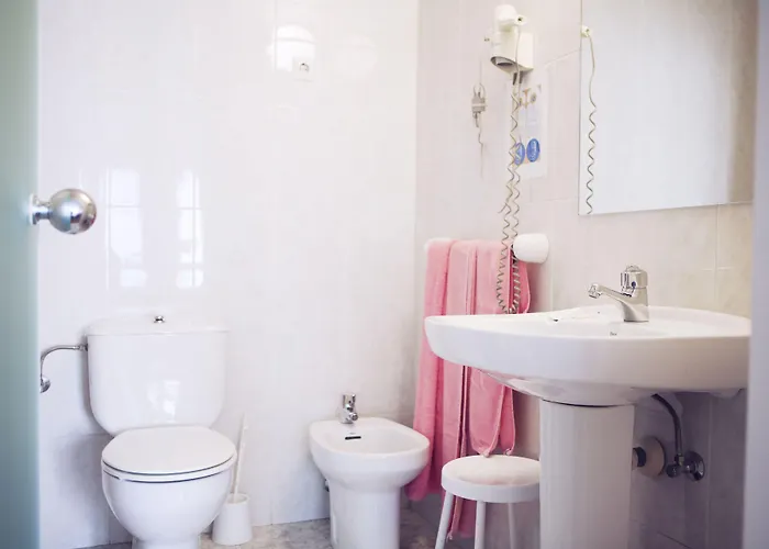 Dato Vitoria-Gasteiz